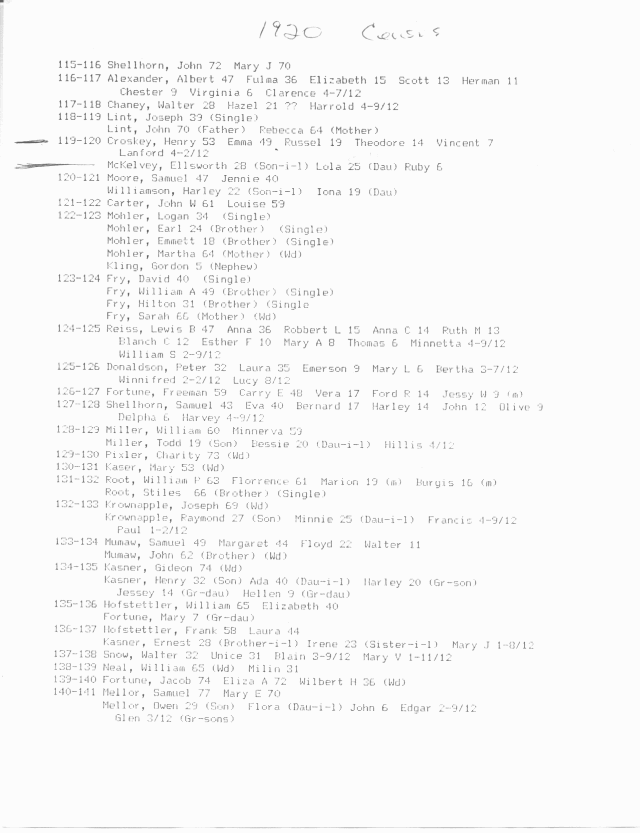 1920 Holmes County, Ohio Census Page 4